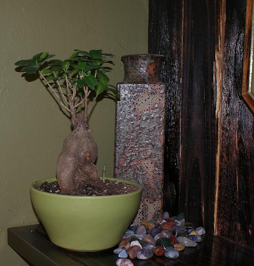 Ashtree Guesthouse Hanover Road エクステリア 写真