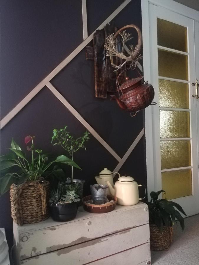 Ashtree Guesthouse Hanover Road エクステリア 写真