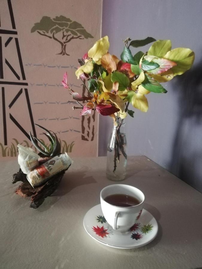 Ashtree Guesthouse Hanover Road エクステリア 写真