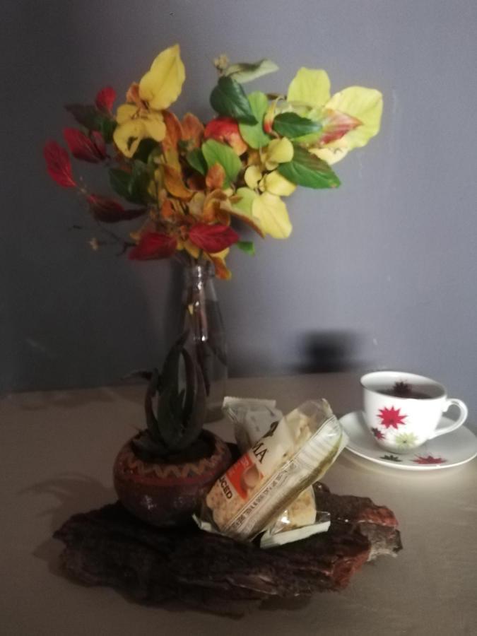 Ashtree Guesthouse Hanover Road エクステリア 写真