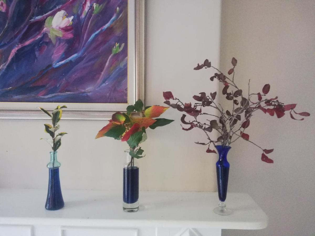 Ashtree Guesthouse Hanover Road エクステリア 写真