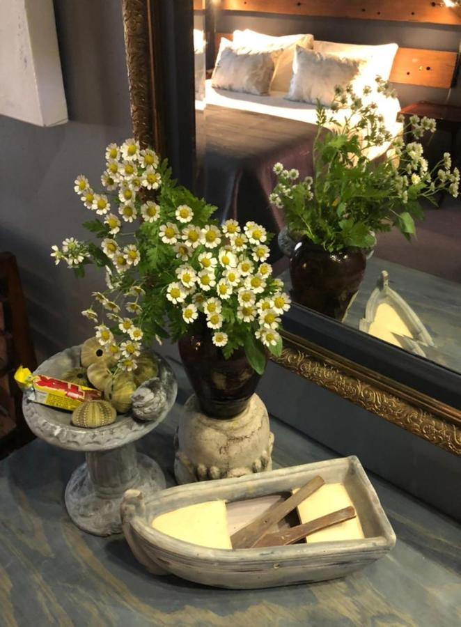 Ashtree Guesthouse Hanover Road エクステリア 写真